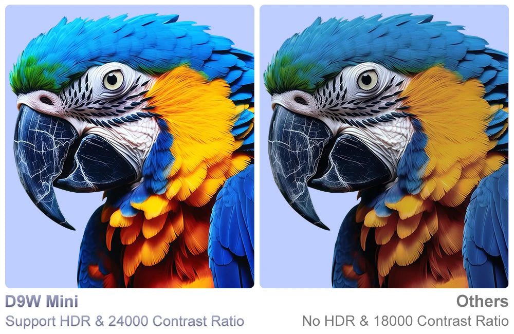 Ultra 4K Image Quality